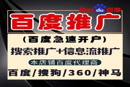 竞价广告的创意与执行：某快消品的营销突破